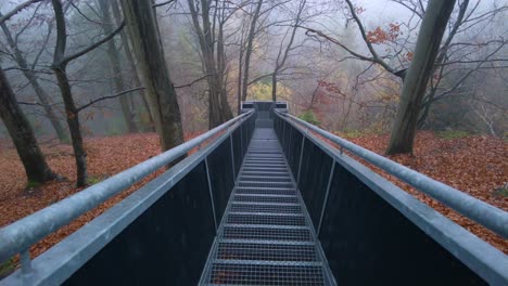 High-angle-shot-over-narrow-metal-stairways-through-an-autumnal-forest-on-a-foggy-morning