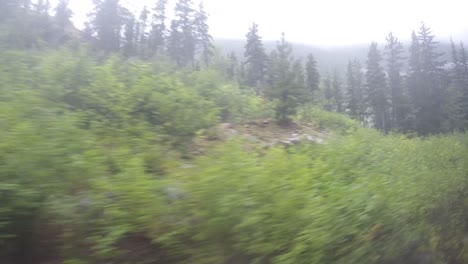 White-Pass-Railroad-in-Alaska