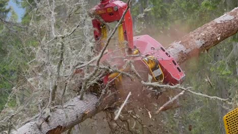 Slow-Motion-Shot-Of-Electric-Machine-Equipment-Cleaning-Up-Tree-Trunk,-Deforestation