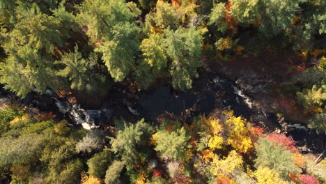 Aerial-top-down-drone-shot-following-a-small-creek-flowing-down-the-side-of-a-mountain-surrounded-by-a-beautiful-natural-forest-during-autumn,-Canada
