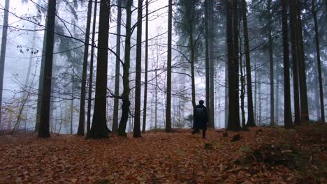 Unidentified-man-dressed-in-all-black-walked-into-the-silent-and-foggy-forest