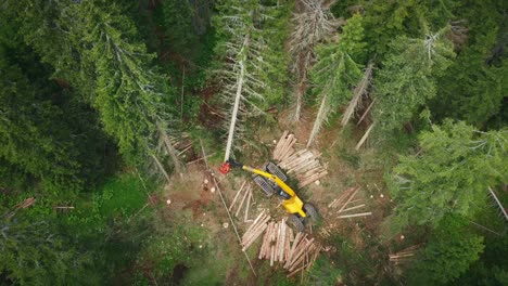 Top-Down-Of-Yellow-Machine-Cleaning-Up-Tree-Trunk,-Deforestation