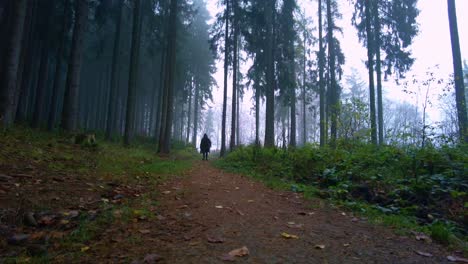 The-unidentified-man-in-the-robe-walks-into-the-silent-forest