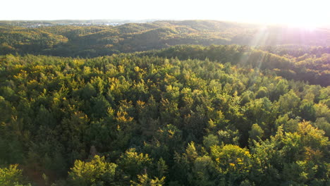 Schöne-Sonnenstrahlen,-Die-über-Hügeliges-Waldland-Mit-Grünen-Und-Gelben-Bäumen-In-Polen-Scheinen---Luftbild