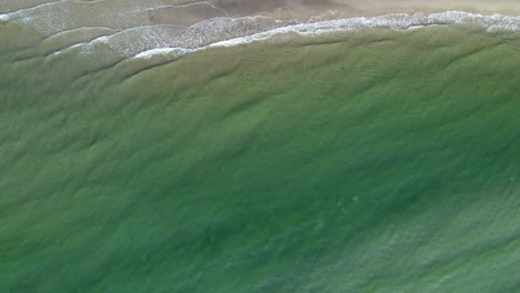 Aerial-footage-of-a-beautiful-shallow-green-sea