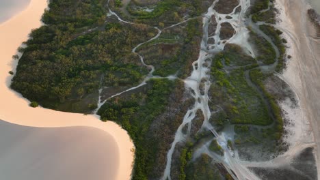 Creeping-sand-dunes-engulfing-coastal-vegetation---aerial-view,-Jericoacoara