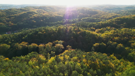 Drone-Revealing-Movement-Above-Colorful-Autumn-Forest-of-WItomino,-Poland