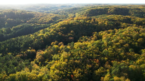 Endloser-Herbstwald-Im-Naturpark-In-Der-Nähe-Von-Witomino,-Gydnia-Polen