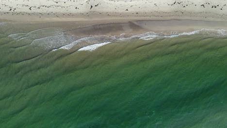 Grünes-Meer-Trifft-Auf-Den-Sand-Von-Norddänemark