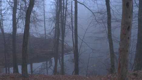Foggy-forest-dark-mood-water