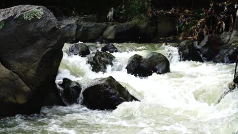 Wasserfluss-Fließt-Durch-Den-Felsen-Auf-Den-Tristen-Dunklen-Wald