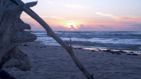 Schöner-Sonnenuntergang-Auf-Dem-Hintergrund-Der-Ostsee,-Sonne,-Die-über-Den-Horizont-Hinausgeht-Und-Wasser-Und-Wolken-Am-Himmel-Beleuchtet,-Baumstamm-Im-Vordergrund,-Ruhige-Seewellen,-Romantische-Stimmung,-Kopierraum,-Mittlere-Aufnahme