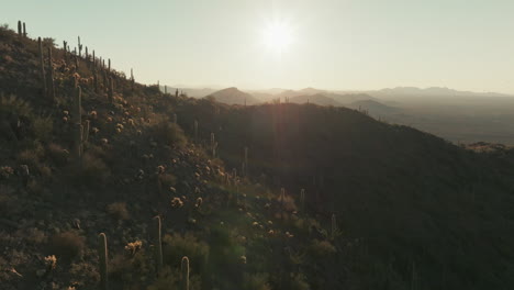 Vista-Aérea-Del-Amanecer-Sobre-Los-Cactus-En-Las-Estribaciones-De-Arizona,-Cordillera-En-La-Distancia