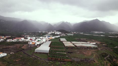 Banana-farm-plantation-near-a-town-with-mountain-in-background,-aerial