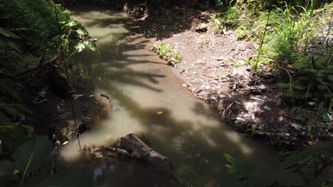 Mysterious-Brown-River-with-Trash,-Tropical-Bali-Indonesia-Dumpster-Rubbish-Wild-Litter-in-the-Village,-Sun-Reflects-Shades-Hidden-Spot,-Lecturing-Adventure-in-the-Jungle