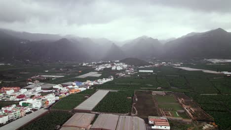 Banana-plantation-crop-farm-near-town-with-mountain-background,-aerial