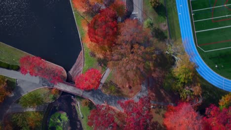 An-aerial,-top-down-time-lapse-high-over-a-colorful-park-during-the-fall-season-on-a-sunny-day
