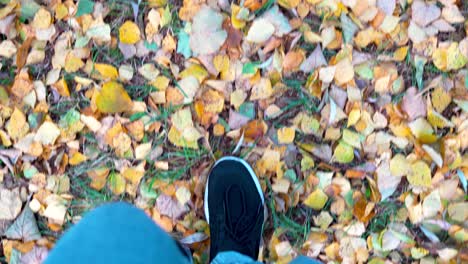 Person-with-casual-shoes-walking-on-ground-with-fallen-autumn-leaves,-top-down