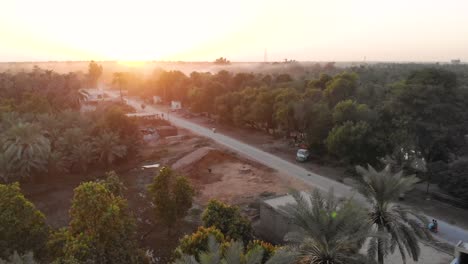 Aerial-Morning-Sunrise-Mist-Floating-Over-Rural-Khairpur-In-Sindh,-Paksitan-Surrounded-By-Date-Palm-Trees