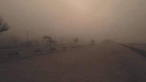 A-creepy-morning-with-heavy-mist,-forward-motion