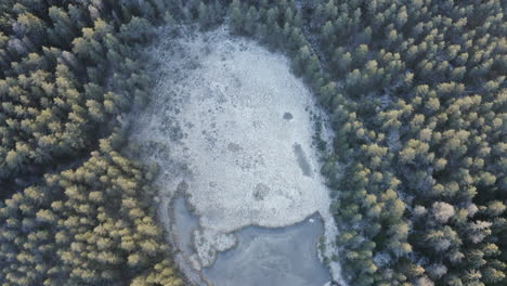 Aerial-view-of-frozen-pond-in-swamp-and-surroundings