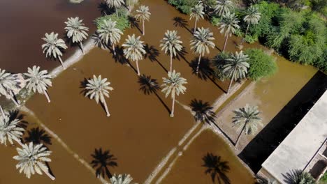 Aerial-Top-Down-View-Of-Rural-Farmland-Under-Water-Due-To-Flooding-In-Khairpur