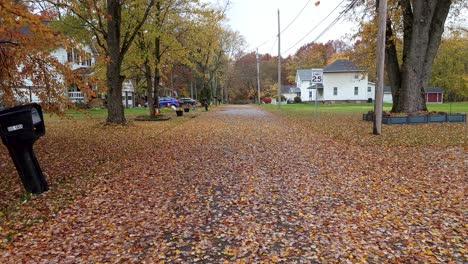 Spaziergang-In-Einer-Atemberaubenden-Szenerie-Einer-Straße,-Die-Vollständig-Mit-Herbstlaub-Bedeckt-Ist,-Ohio