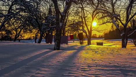 beautiful-time-lapse-of-a-winter-landscape-with-the-rising-orange-sun-shining-through-the-trees