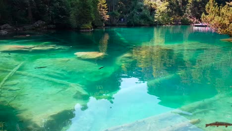 Beautiful-shot-of-a-clear-blue-lake-with-fish-visible-swimming-in-the-water-at-Lake-Blausee-in-Kandergrund,-Switzerland