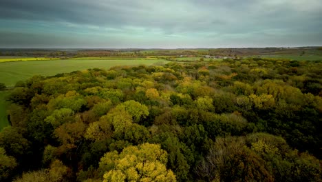 Aerial-Backwards-Done-Shot-of-an-English-Wood-in-Autumn