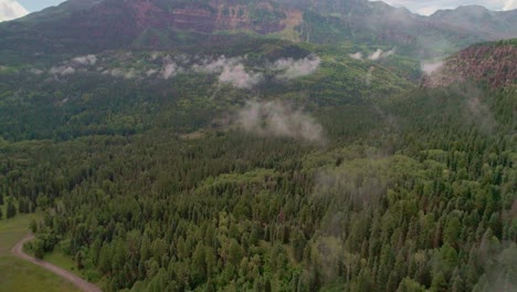 Drone-view-of-a-dense-forest-with-mountains-in-the-background-in-Colorado