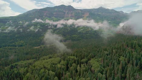 Drone-view-of-Colorado-trees-on-mountaineous-region