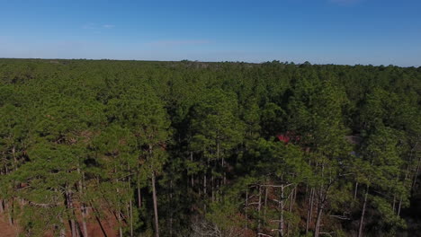 Aerial-shot-looking-over-a-forest-in-North-Carolina