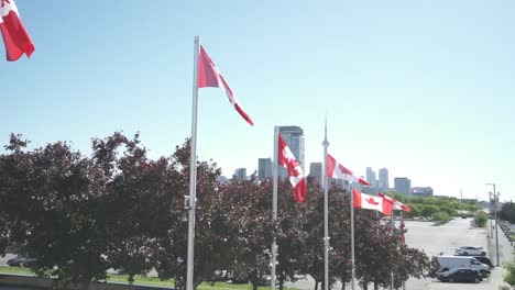 Pfanne-Mit-Kanadischen-Flaggen