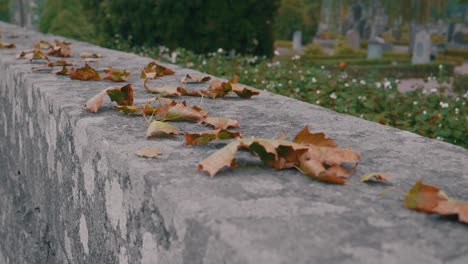 Zeitlupe-Der-Herbstblätter,-Die-Im-Wind-Auf-Einer-Steinmauer-Wehen