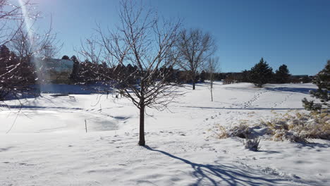 Golfplatz-Mit-Schnee-Bedeckt