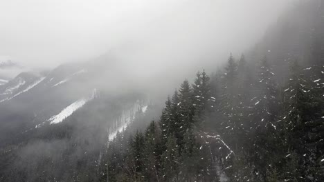 Nebliger-Drohnenschuss,-Der-Durch-Bäume-In-Schneebedeckten-Bergen-Fliegt-4k