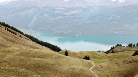 Pan-up-over-alpine-landscape-and-lake-in-summer-in-Switzerland-4k
