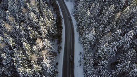 Drone-following-car-above-snowy-woods-in-mountains-4k