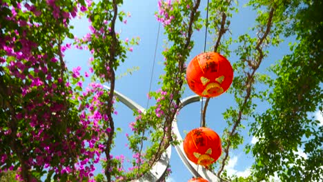 Chinese-Lantern-during-new-year-festival