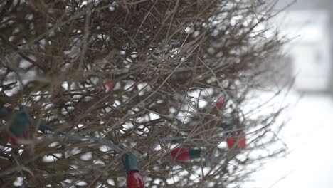 Weihnachtsbeleuchtung-Am-Baum-Draußen-Im-Schnee