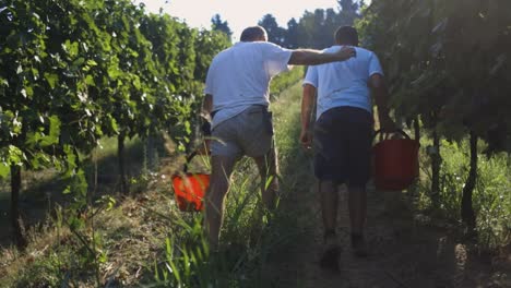 friendly-farmer-walking-in-a-vineyard