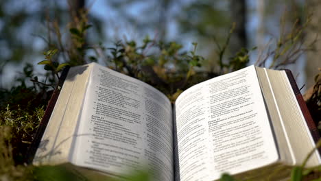 Öffnen-Sie-Die-Bibel-Im-Wald,-Während-Der-Wind-Die-Seiten-Umblättert