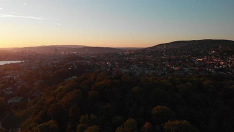 Aerial-drone-shot-rising-up-over-trees-and-revealing-the-city-of-Zürich-Switzerland-at-sunset