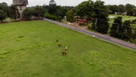 Aerial-shot-of-a-stable-of-horses