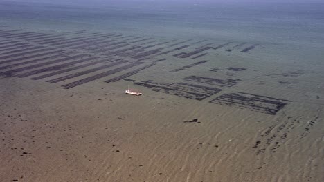 Oyster-farm-with-barge-and-rows-of-Oysters-in-sea,-drone-orbit
