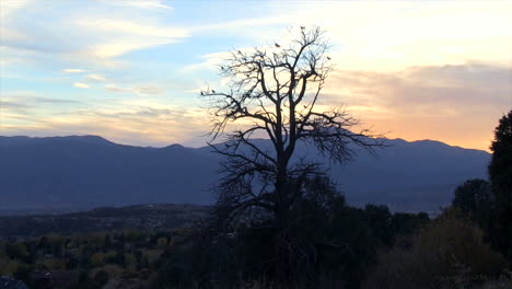 A-Dead-Tree-with-a-Beautiful-Mountain-Range-in-the-background-at-Sunset