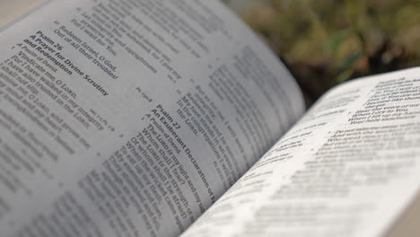 Psalm-23,-close-up-of-a-Bible-laying-in-the-forest