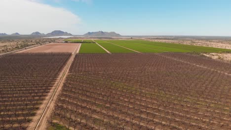 Aerial-drone-footage-of-field-of-sowing-in-Hermosillo-Sonora-Mexico---high-view
