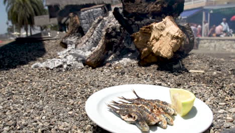 Sardines-Fish-Skewer-Fire-Grilled-with-Burning-Firewood